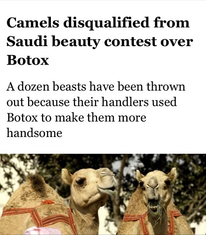 botox camels.jpg